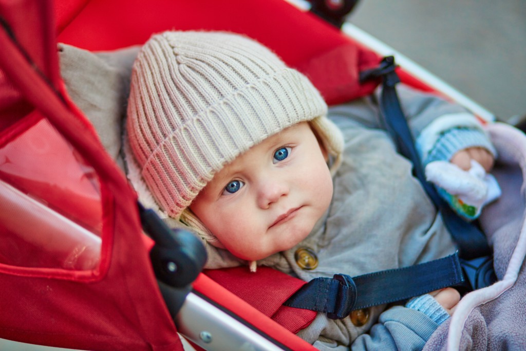 Cute 9 month little boy in a stroller