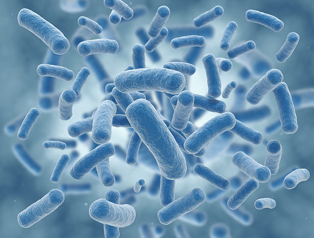 Preventing E Coli Infection Wellnotes Sarah Bush Lincoln Health System