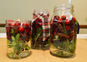 Decorating with Cranberries for the Holidays