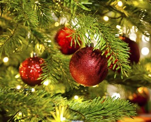 Prevent a Christmas Tree Fire