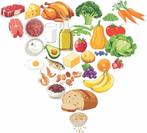 The New Food Pyramid Is Back—What It Means for Your Heart Health
